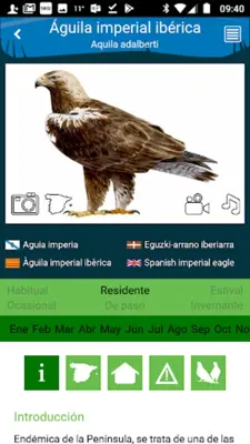 Aves de España android App screenshot 4